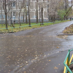 ПРИМЕР КОМПЛЕКСНОЙ ЭКСПЕРТИЗЫ «НАЕЗД НА ПЕШЕХОДА»